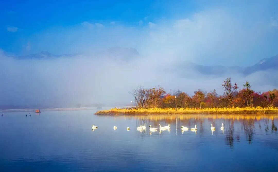 微信圖片_2025-11-14_093308_711