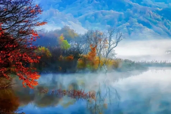 神農(nóng)架的葉子開始黃了嗎？2025神農(nóng)架大九湖秋景來襲