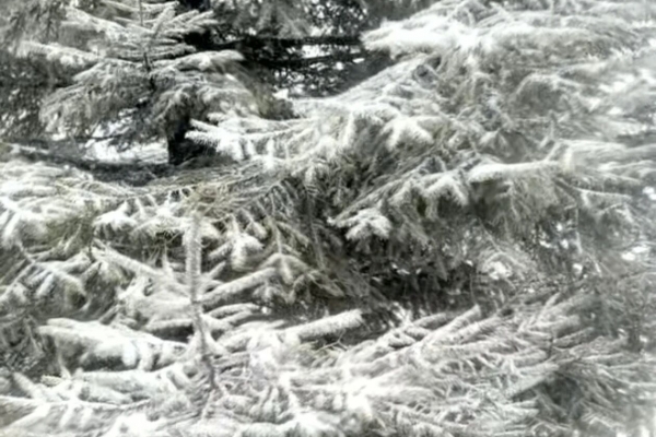 宜昌迎來2025年冬季初雪，未來幾天宜昌天氣如何？