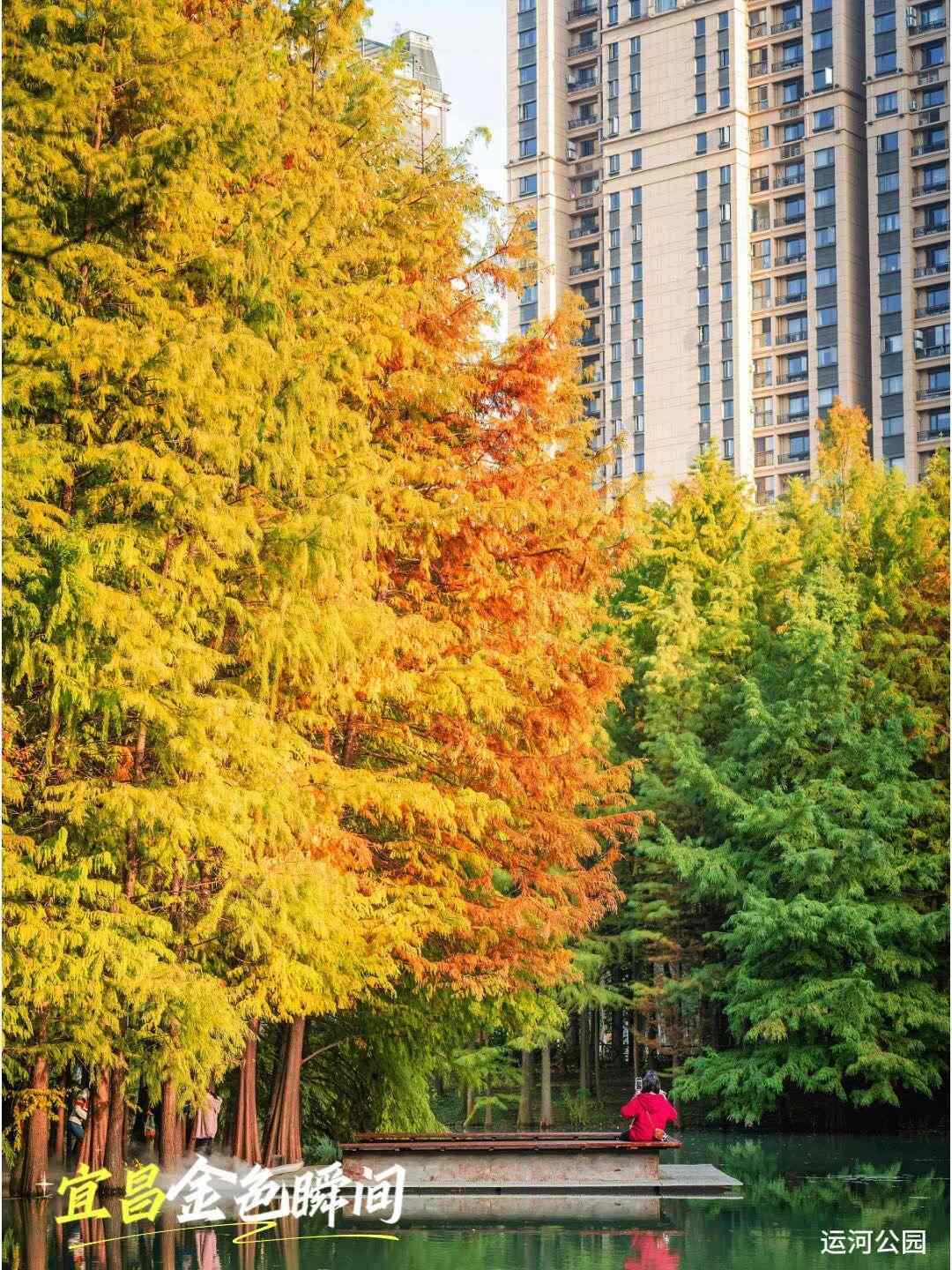 微信圖片_2025-11-20_092509_920(1)