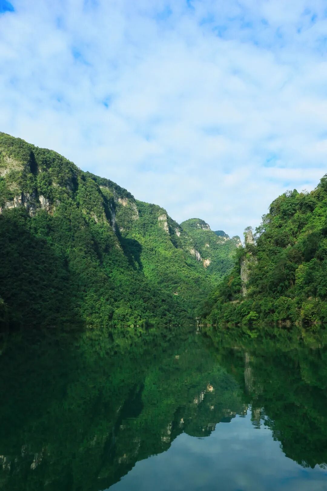 微信圖片_2025-11-28_093325_479