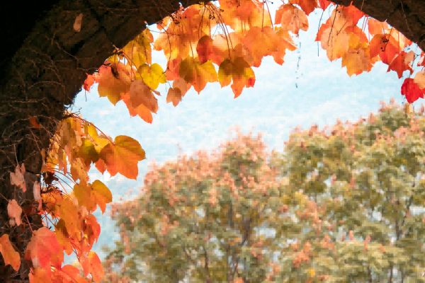宜昌的這些景點在秋日的映襯下，簡直美到窒息