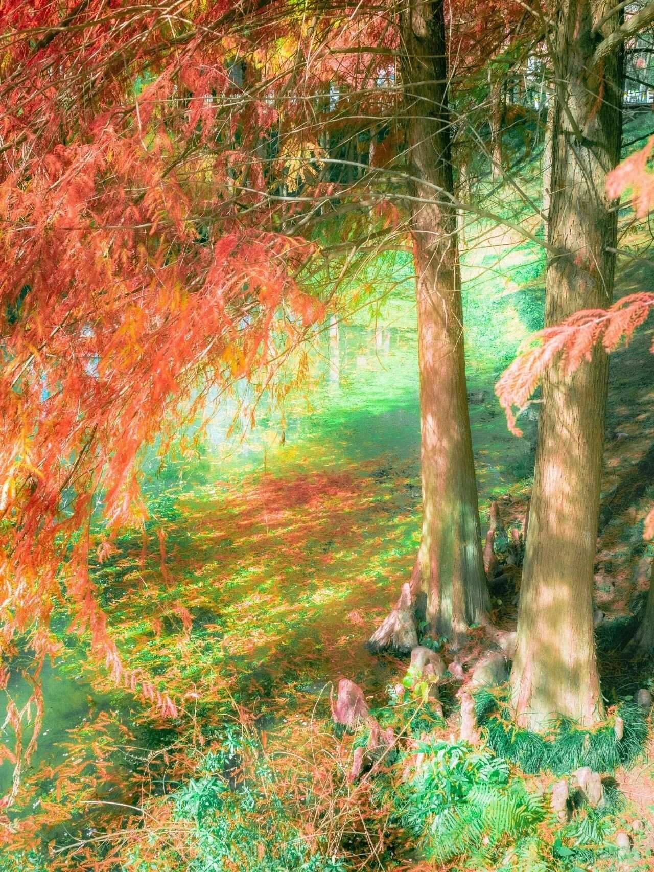 微信圖片_2025-12-03_090913_142